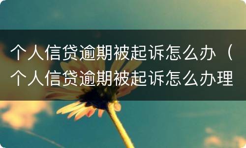 个人信贷逾期被起诉怎么办（个人信贷逾期被起诉怎么办理）