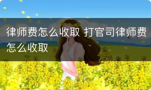 律师费怎么收取 打官司律师费怎么收取