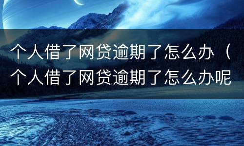 个人借了网贷逾期了怎么办（个人借了网贷逾期了怎么办呢）