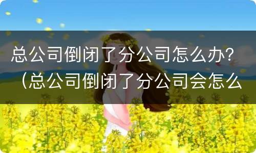 总公司倒闭了分公司怎么办？（总公司倒闭了分公司会怎么样）