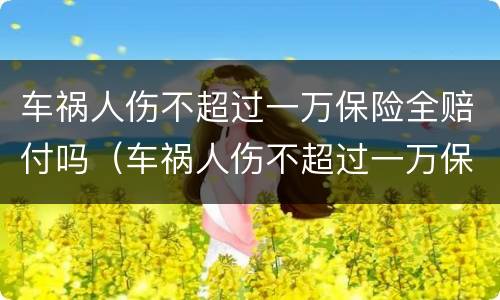 车祸人伤不超过一万保险全赔付吗（车祸人伤不超过一万保险全赔付吗多少钱）