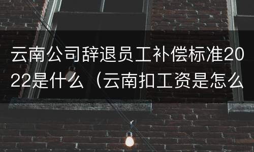 云南公司辞退员工补偿标准2022是什么（云南扣工资是怎么处理）