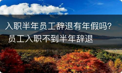 入职半年员工辞退有年假吗？ 员工入职不到半年辞退