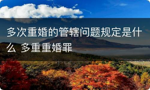 多次重婚的管辖问题规定是什么 多重重婚罪