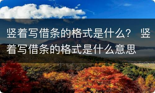 竖着写借条的格式是什么？ 竖着写借条的格式是什么意思