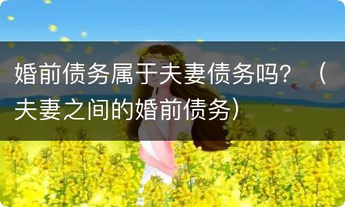 婚前债务属于夫妻债务吗？（夫妻之间的婚前债务）