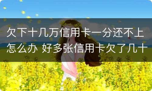 欠下十几万信用卡一分还不上怎么办 好多张信用卡欠了几十万,还不上