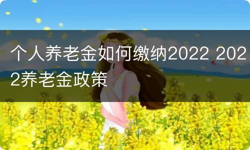 个人养老金如何缴纳2022 2022养老金政策