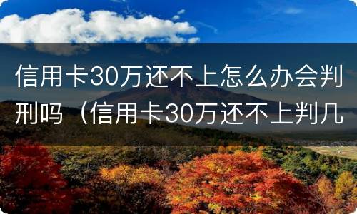 信用卡30万还不上怎么办会判刑吗（信用卡30万还不上判几年）