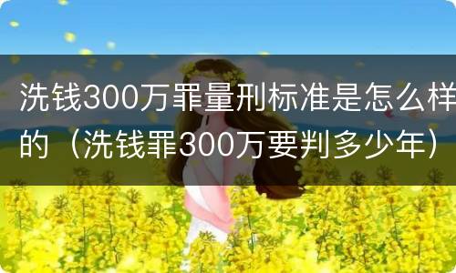 洗钱300万罪量刑标准是怎么样的（洗钱罪300万要判多少年）