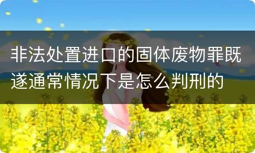 非法处置进口的固体废物罪既遂通常情况下是怎么判刑的