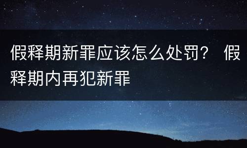 假释期新罪应该怎么处罚？ 假释期内再犯新罪