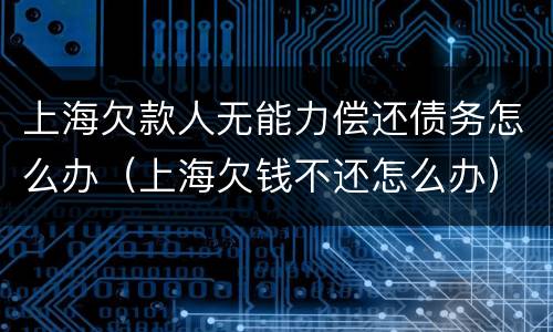 上海欠款人无能力偿还债务怎么办（上海欠钱不还怎么办）