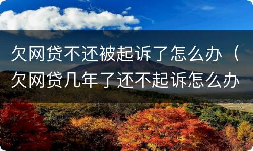 欠网贷不还被起诉了怎么办（欠网贷几年了还不起诉怎么办）
