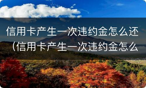 信用卡产生一次违约金怎么还（信用卡产生一次违约金怎么还款）