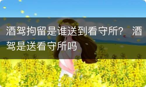 酒驾拘留是谁送到看守所？ 酒驾是送看守所吗