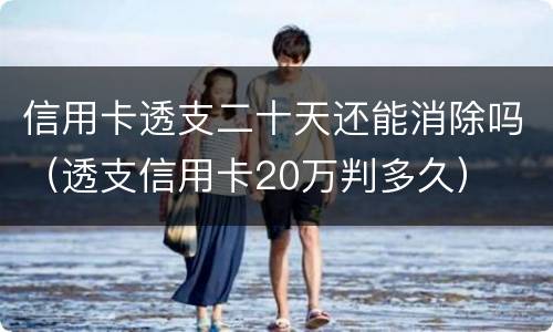 信用卡透支二十天还能消除吗（透支信用卡20万判多久）