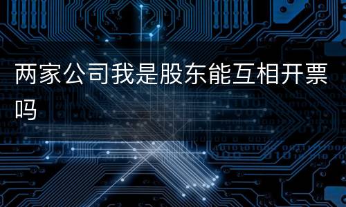 两家公司我是股东能互相开票吗