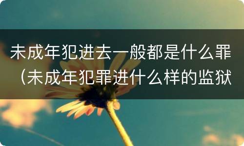 未成年犯进去一般都是什么罪（未成年犯罪进什么样的监狱）