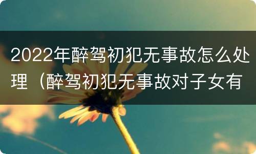 2022年醉驾初犯无事故怎么处理（醉驾初犯无事故对子女有影响吗）