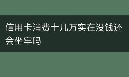 信用卡消费十几万实在没钱还会坐牢吗