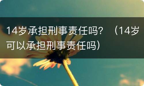 14岁承担刑事责任吗？（14岁可以承担刑事责任吗）