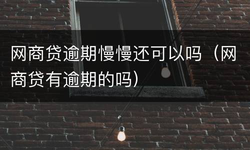 网商贷逾期慢慢还可以吗（网商贷有逾期的吗）