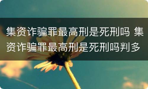 集资诈骗罪最高刑是死刑吗 集资诈骗罪最高刑是死刑吗判多少年