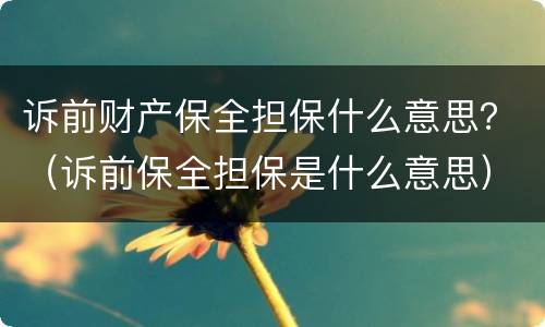 诉前财产保全担保什么意思？（诉前保全担保是什么意思）