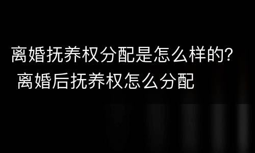 离婚抚养权分配是怎么样的？ 离婚后抚养权怎么分配