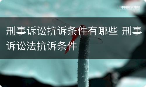 刑事诉讼抗诉条件有哪些 刑事诉讼法抗诉条件