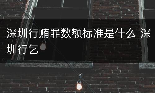 深圳行贿罪数额标准是什么 深圳行乞