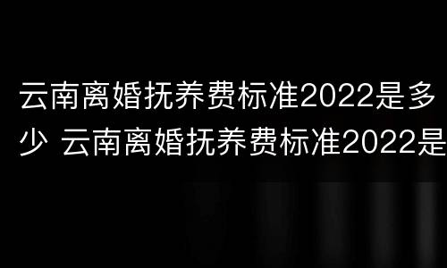 云南离婚抚养费标准2022是多少 云南离婚抚养费标准2022是多少钱