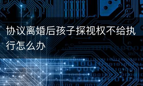 协议离婚后孩子探视权不给执行怎么办