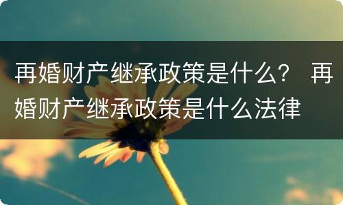 再婚财产继承政策是什么？ 再婚财产继承政策是什么法律