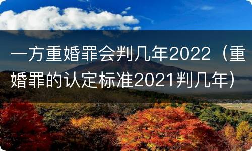 一方重婚罪会判几年2022（重婚罪的认定标准2021判几年）
