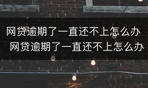 网贷逾期了一直还不上怎么办 网贷逾期了一直还不上怎么办?