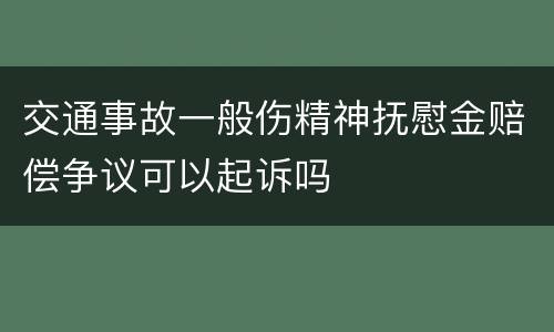 交通事故一般伤精神抚慰金赔偿争议可以起诉吗