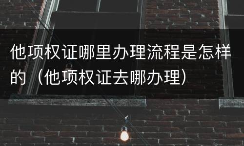 他项权证哪里办理流程是怎样的（他项权证去哪办理）