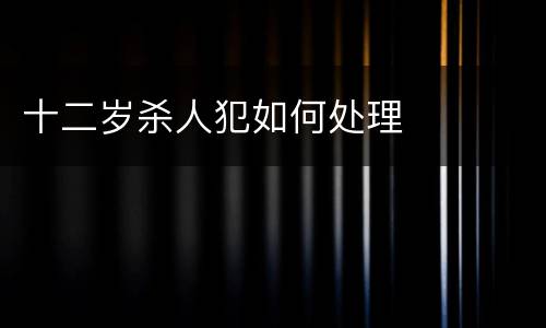 十二岁杀人犯如何处理