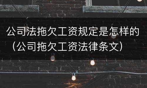 公司法拖欠工资规定是怎样的（公司拖欠工资法律条文）