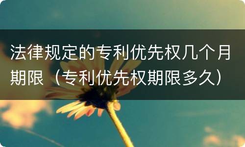 法律规定的专利优先权几个月期限（专利优先权期限多久）