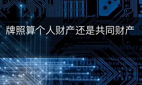 牌照算个人财产还是共同财产