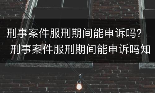 刑事案件服刑期间能申诉吗？ 刑事案件服刑期间能申诉吗知乎