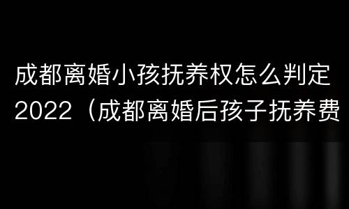 成都离婚小孩抚养权怎么判定2022（成都离婚后孩子抚养费标准2021年）