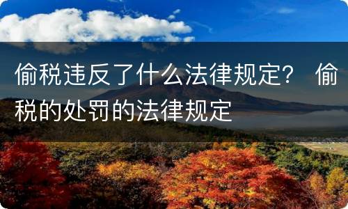 偷税违反了什么法律规定？ 偷税的处罚的法律规定
