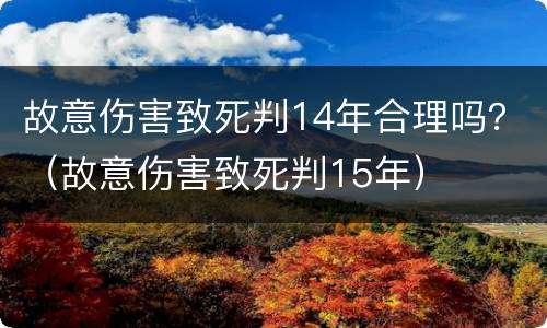 故意伤害致死判14年合理吗？（故意伤害致死判15年）