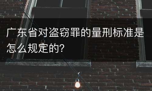 广东省对盗窃罪的量刑标准是怎么规定的？