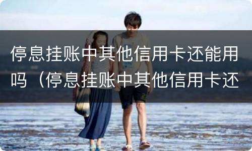 停息挂账中其他信用卡还能用吗（停息挂账中其他信用卡还能用吗安全吗）