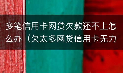 多笔信用卡网贷欠款还不上怎么办（欠太多网贷信用卡无力偿还）